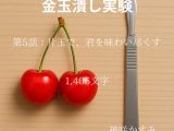 金玉潰し実験/第5話:片玉で、君を味わい尽くす